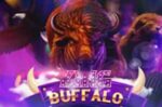 Buffalo King app
